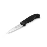 Taylor 3.5" Paring Knife - 5248384